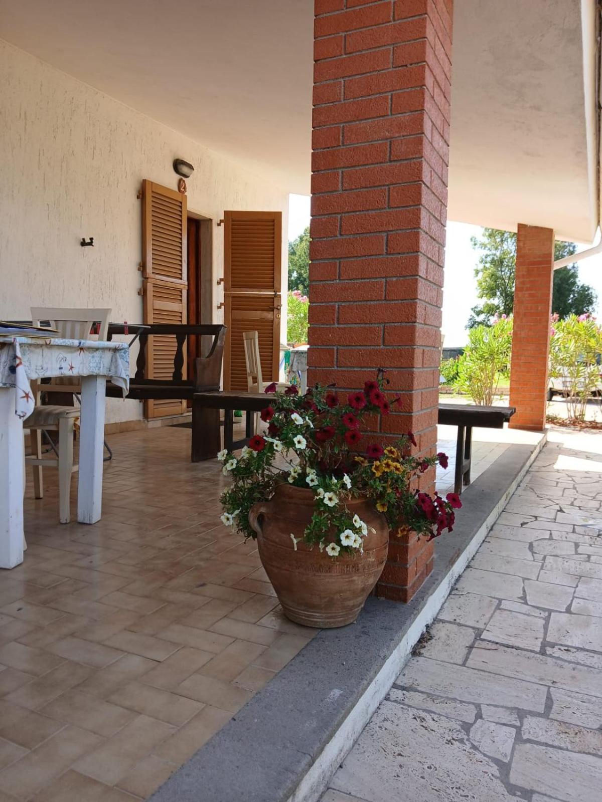 אלביניה Hotel Dory מראה חיצוני תמונה