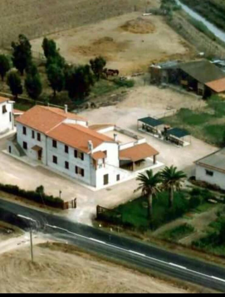 אלביניה Hotel Dory מראה חיצוני תמונה